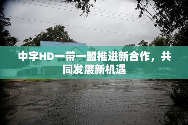 中字HD一带一盟推进新合作，共同发展新机遇