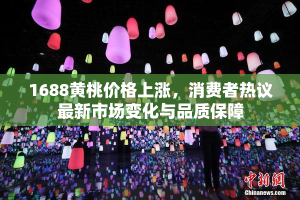 1688黄桃价格上涨，消费者热议最新市场变化与品质保障
