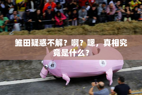 雏田疑惑不解？啊？嗯，真相究竟是什么？