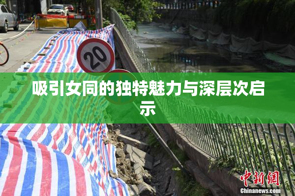 吸引女同的独特魅力与深层次启示