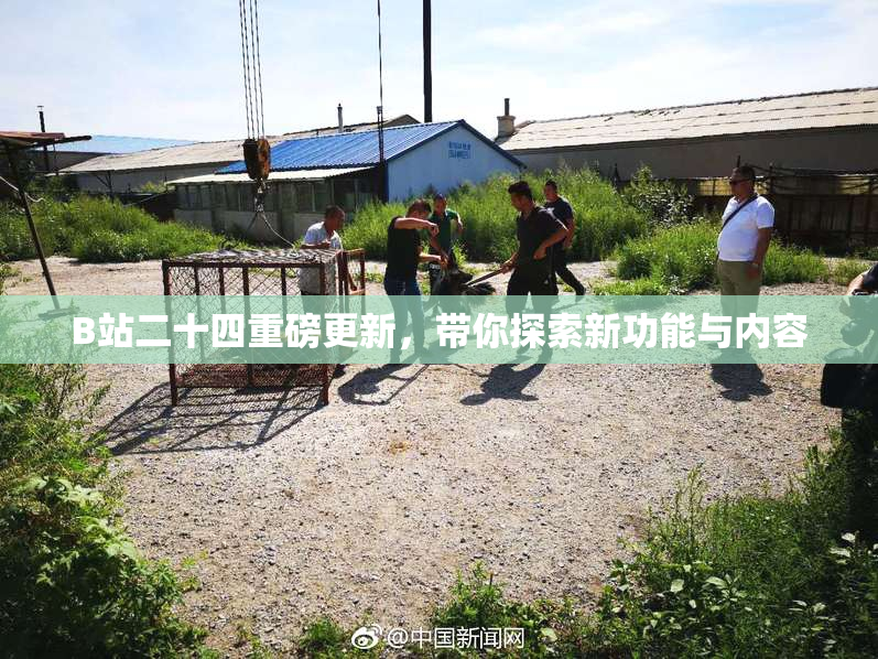 B站二十四重磅更新，带你探索新功能与内容