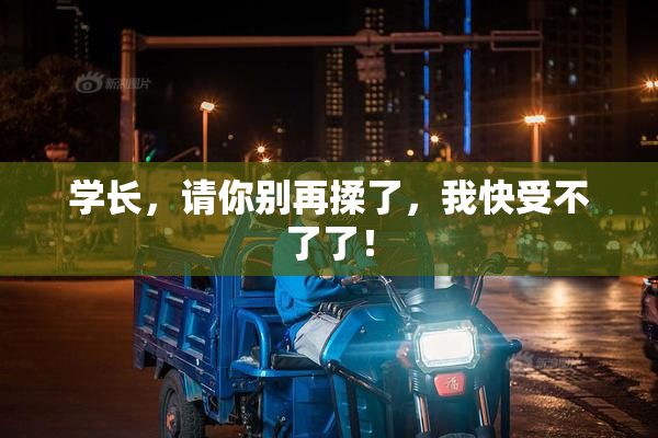 学长，请你别再揉了，我快受不了了！