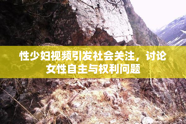性少妇视频引发社会关注，讨论女性自主与权利问题