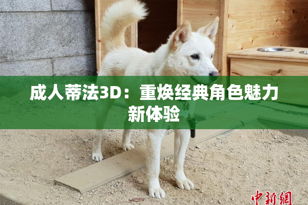 成人蒂法3D：重焕经典角色魅力新体验