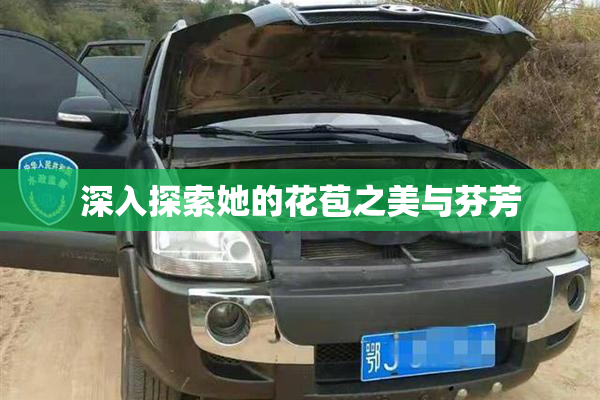 深入探索她的花苞之美与芬芳