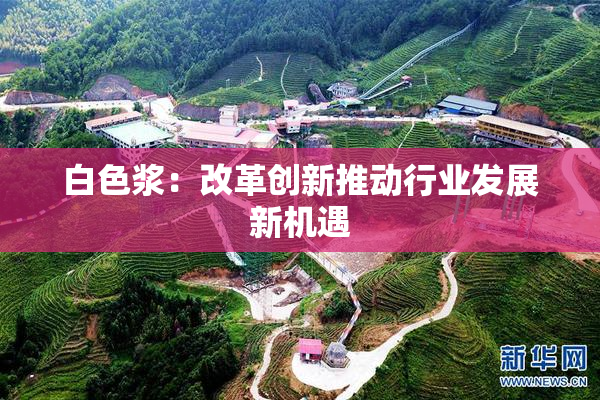 白色浆：改革创新推动行业发展新机遇