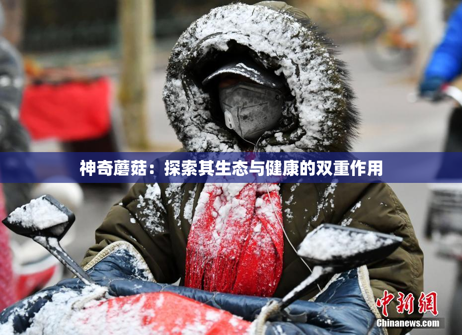 神奇蘑菇：探索其生态与健康的双重作用