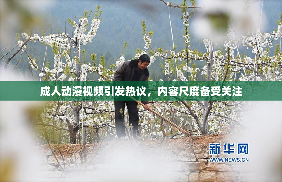 成人动漫视频引发热议，内容尺度备受关注