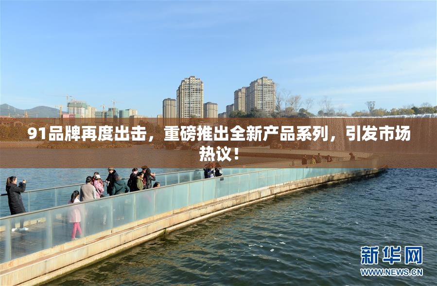 91品牌再度出击，重磅推出全新产品系列，引发市场热议！