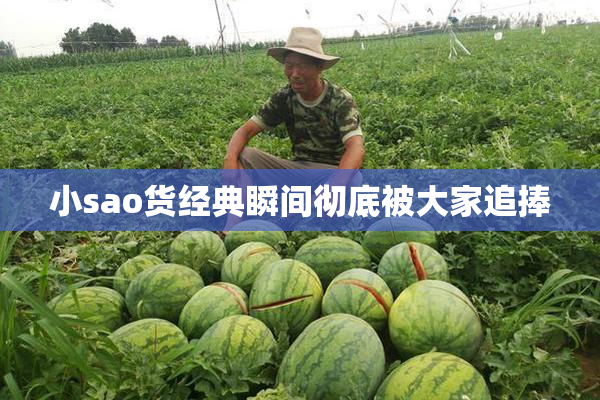 小sao货经典瞬间彻底被大家追捧