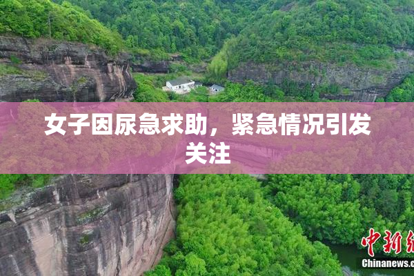女子因尿急求助，紧急情况引发关注