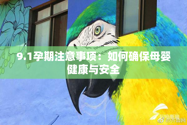 9.1孕期注意事项：如何确保母婴健康与安全