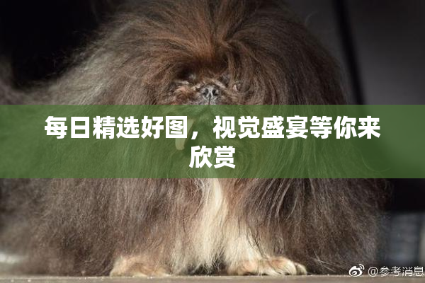每日精选好图，视觉盛宴等你来欣赏