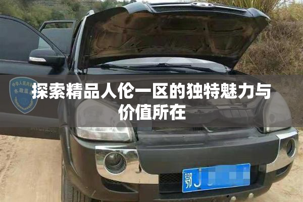 探索精品人伦一区的独特魅力与价值所在