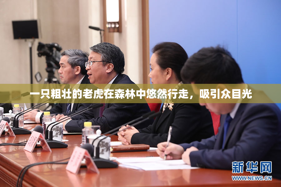 一只粗壮的老虎在森林中悠然行走，吸引众目光