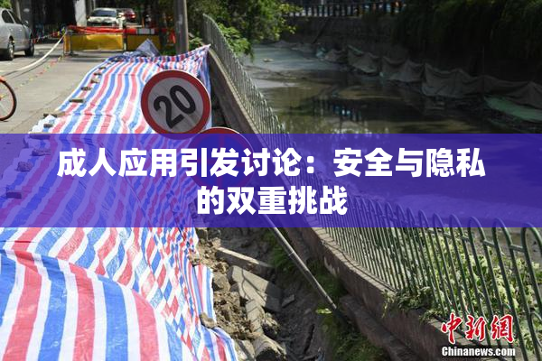 成人应用引发讨论：安全与隐私的双重挑战