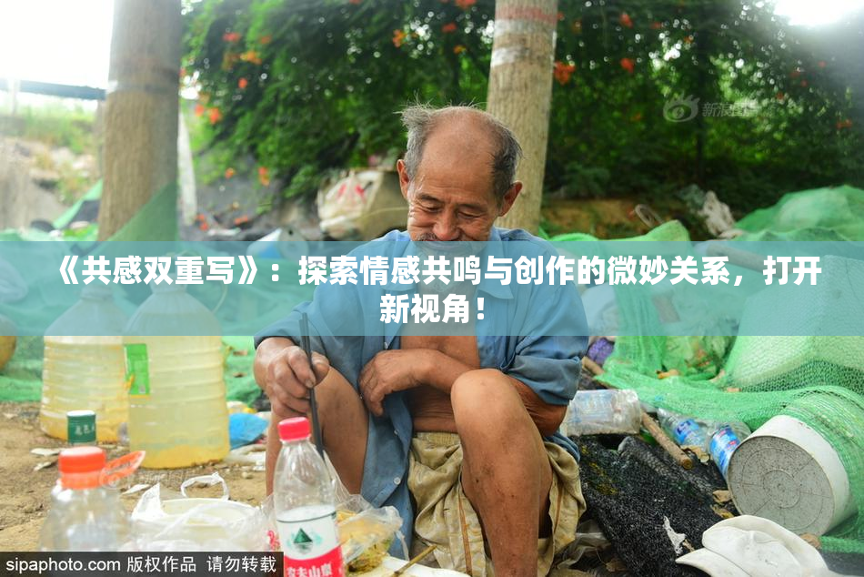 《共感双重写》：探索情感共鸣与创作的微妙关系，打开新视角！