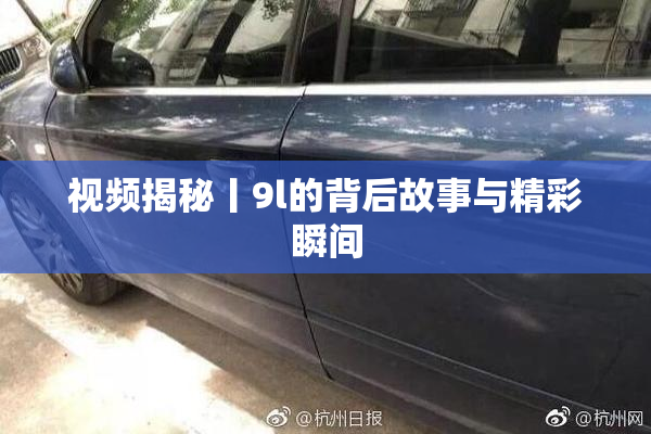 视频揭秘丨9l的背后故事与精彩瞬间