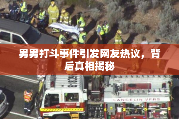 男男打斗事件引发网友热议，背后真相揭秘