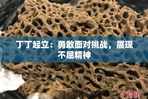 丁丁起立：勇敢面对挑战，展现不屈精神