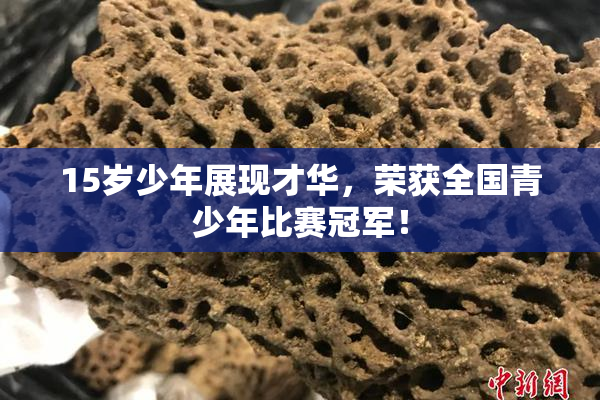 15岁少年展现才华，荣获全国青少年比赛冠军！