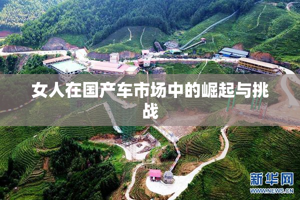 女人在国产车市场中的崛起与挑战