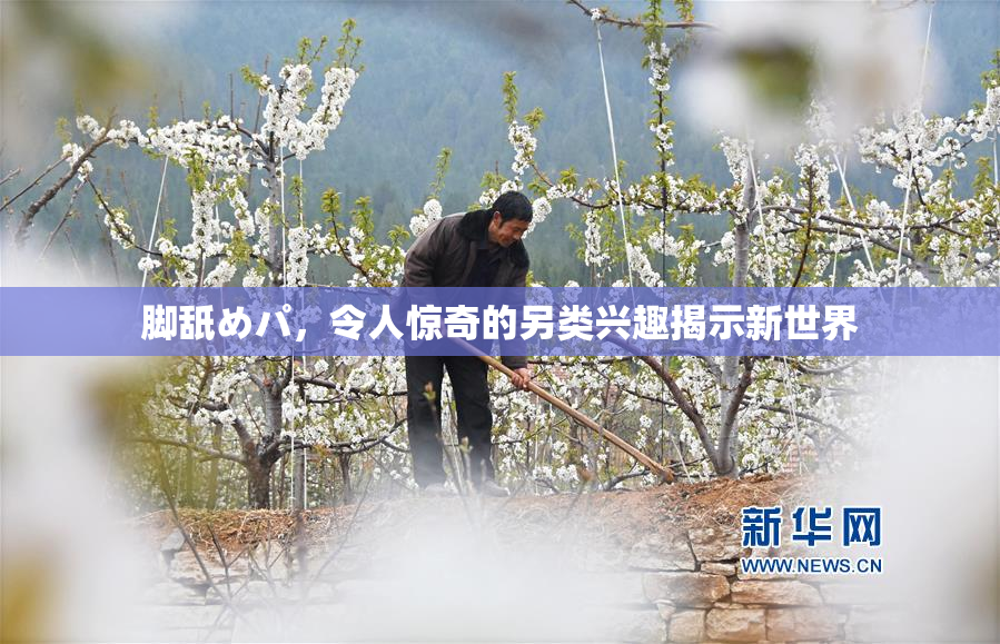 脚舐めパ，令人惊奇的另类兴趣揭示新世界