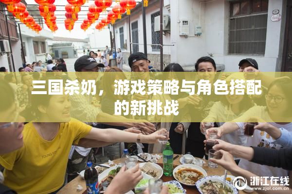 三国杀奶，游戏策略与角色搭配的新挑战
