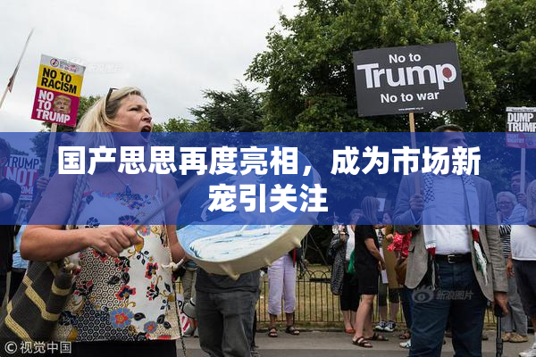 国产思思再度亮相，成为市场新宠引关注