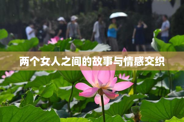 两个女人之间的故事与情感交织