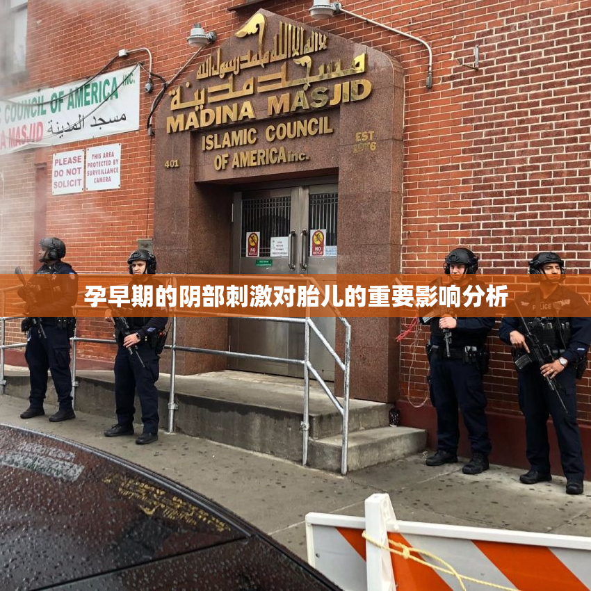 孕早期的阴部刺激对胎儿的重要影响分析