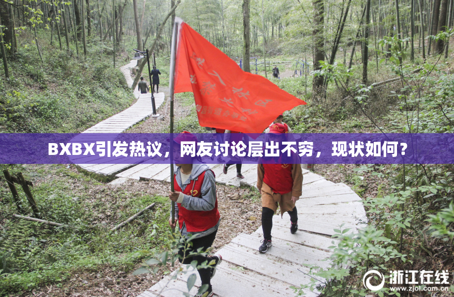 BXBX引发热议，网友讨论层出不穷，现状如何？