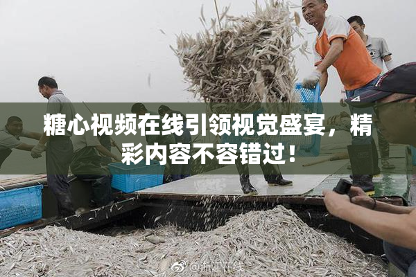糖心视频在线引领视觉盛宴，精彩内容不容错过！