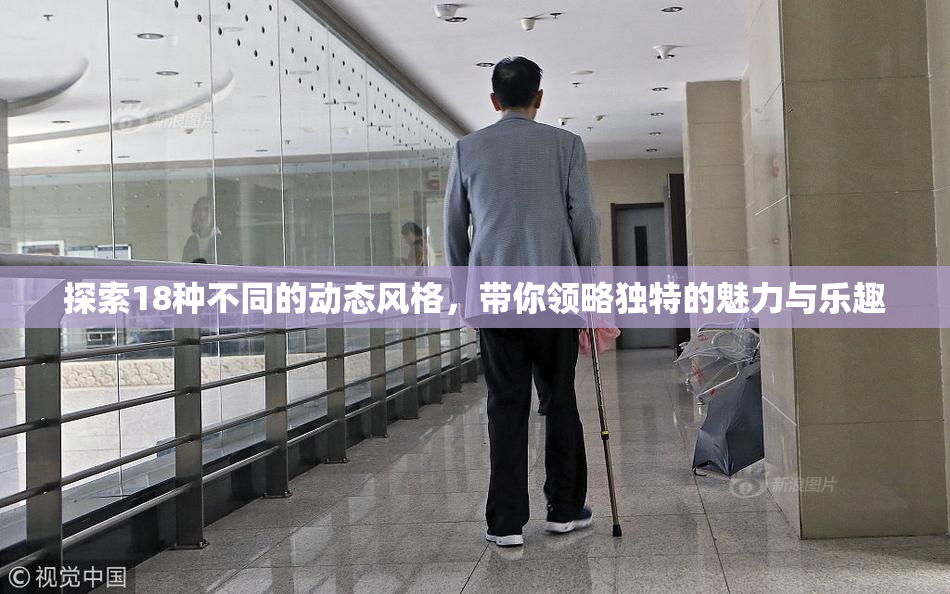 探索18种不同的动态风格，带你领略独特的魅力与乐趣