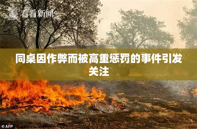 同桌因作弊而被高重惩罚的事件引发关注