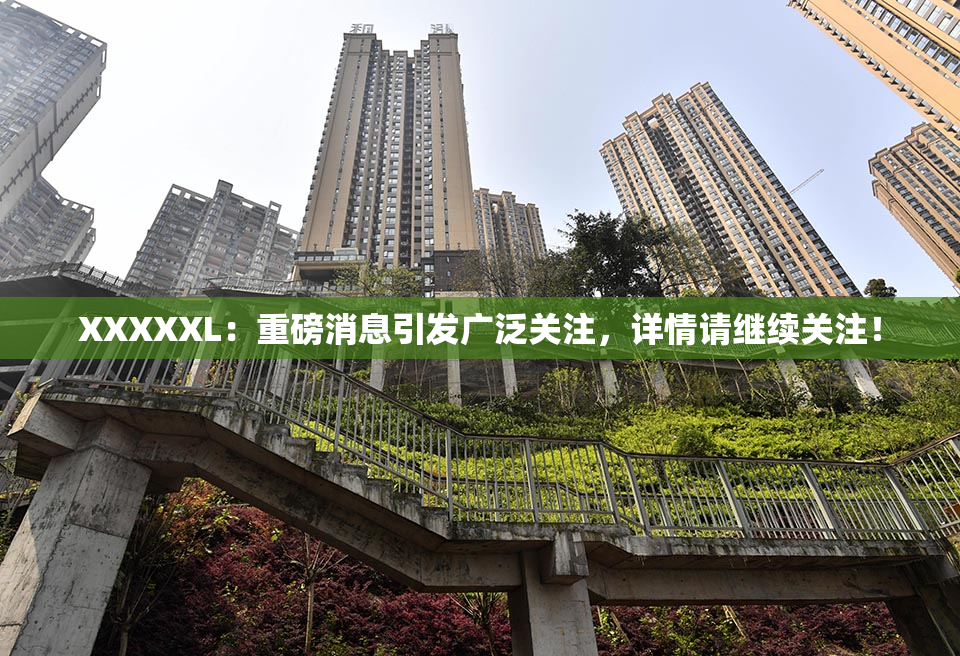 XXXXXL：重磅消息引发广泛关注，详情请继续关注！