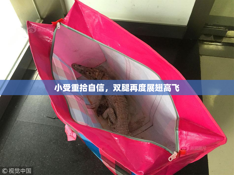 小受重拾自信，双腿再度展翅高飞