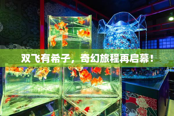 双飞有希子，奇幻旅程再启幕！