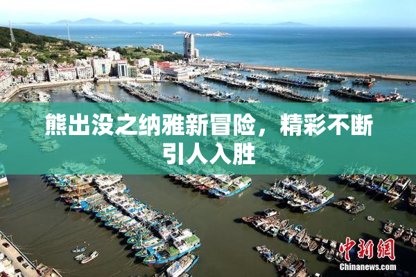 熊出没之纳雅新冒险，精彩不断引人入胜