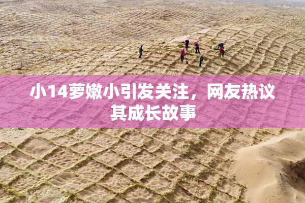小14萝嫩小引发关注，网友热议其成长故事