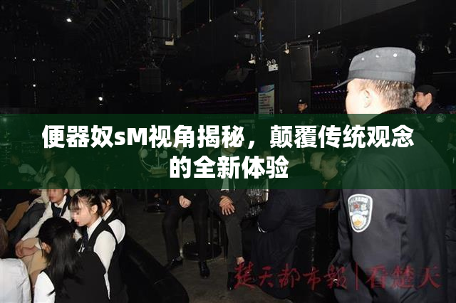 便器奴sM视角揭秘，颠覆传统观念的全新体验