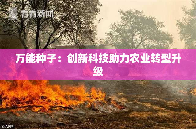 万能种子：创新科技助力农业转型升级
