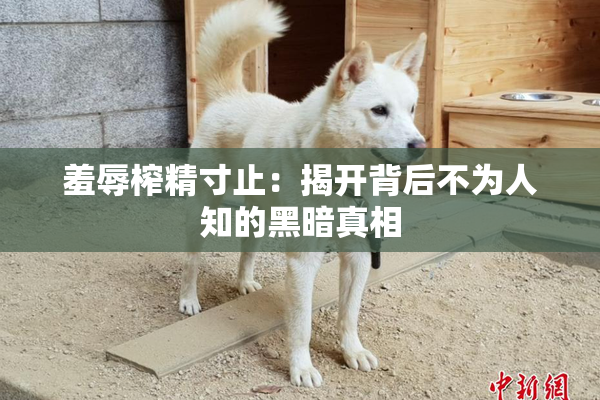 羞辱榨精寸止：揭开背后不为人知的黑暗真相