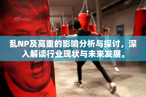 乱NP及高重的影响分析与探讨，深入解读行业现状与未来发展。