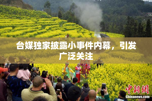 台媒独家披露小事件内幕，引发广泛关注