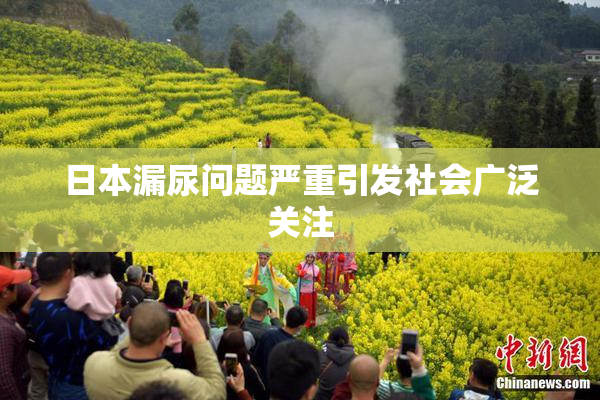 日本漏尿问题严重引发社会广泛关注