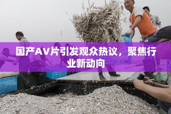 国产AV片引发观众热议，聚焦行业新动向
