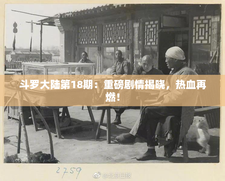 斗罗大陆第18期：重磅剧情揭晓，热血再燃！