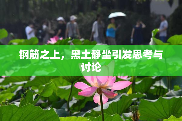 钢筋之上，黑土静坐引发思考与讨论