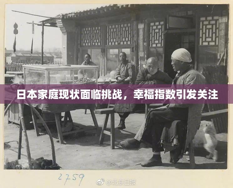 日本家庭现状面临挑战，幸福指数引发关注